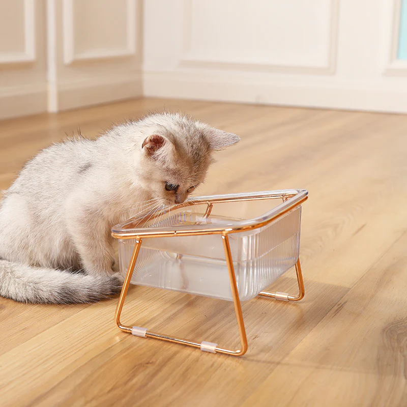 Double Transparent Cat Bowl with Vertical Design - Easy Feeding and Hydration Solution for Cats - Durable Metal and Plastic Construction, Ideal Pet Supplies