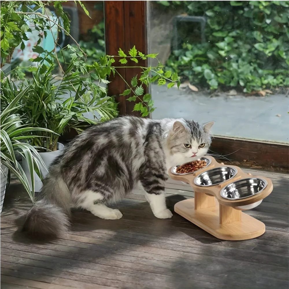Raised Cat Bowl - Elevated Stainless Steel Food and Water Bowls with 15° Tilted Stand for Cats, Indoor Feline, Puppy, and Kitten Feeding